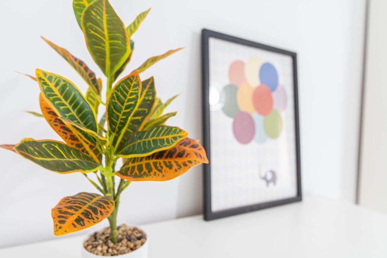 Apartamento Cadiz Be Kind Luaran gambar